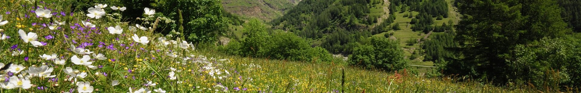 PARC NATIONAL DES ECRINS