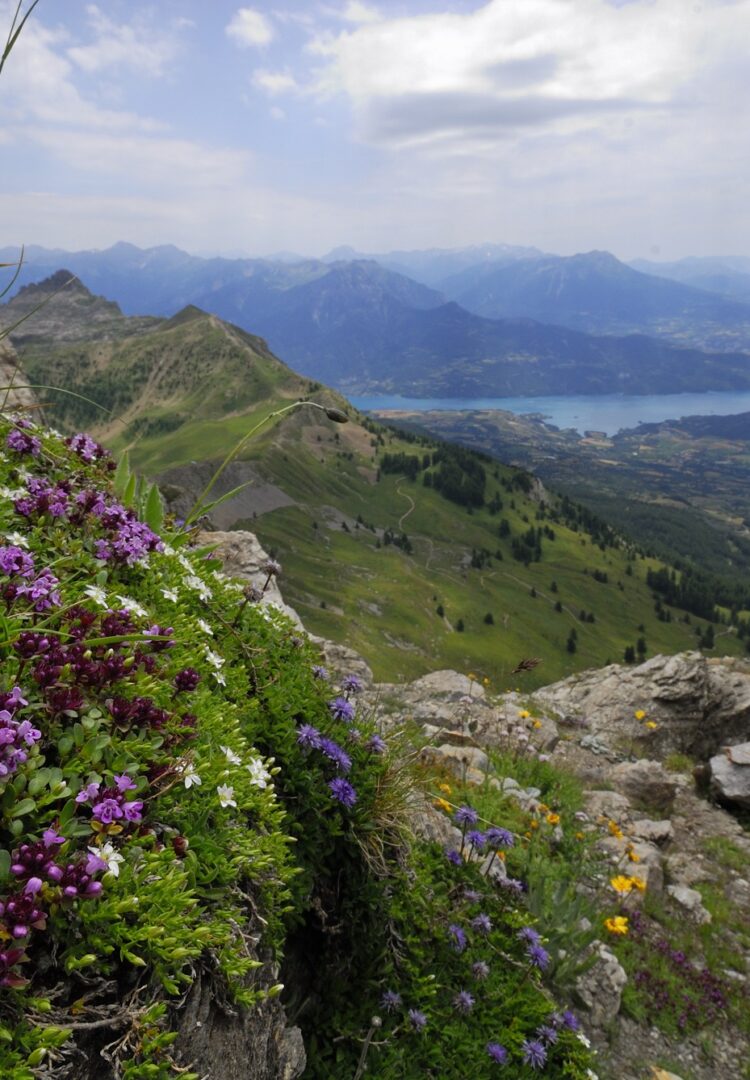 lac de Serre-Ponçon depuis la Pousterle